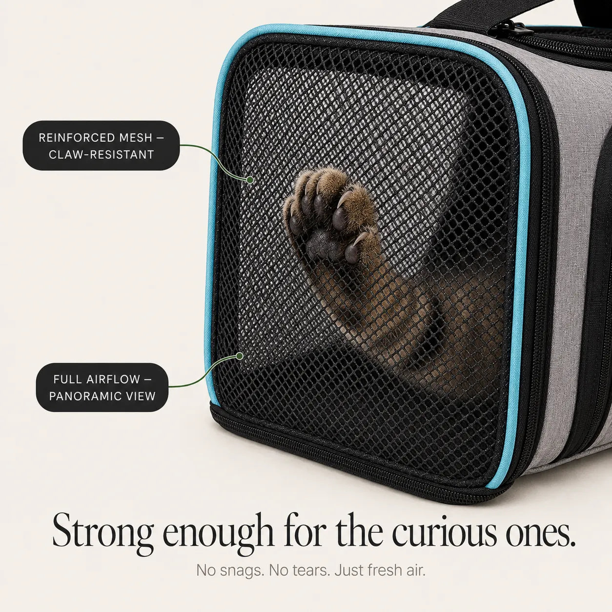 Nestly – Expandable Cat Carrier with Mesh-like Lounge Sides for Travel