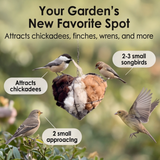 Nestara - Heart shaped bird nesting material holder