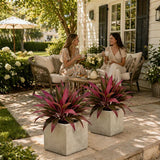 Verdara – Vibrant Faux Cordyline Plant Set