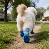 Trakton – Dog Boots That Actually Stay On