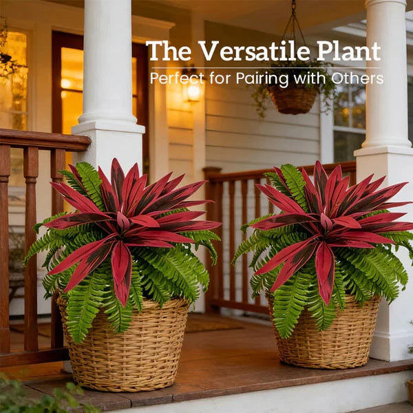 Verdara – Vibrant Faux Cordyline Plant Set