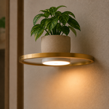 Lumeva - Floating LED Wall Shelf with Gold Finish, Rechargeable Ambient Light for Plants