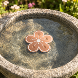Bloomara – Pure Copper Bird Bath Purifier Disc, Algae Control Flower