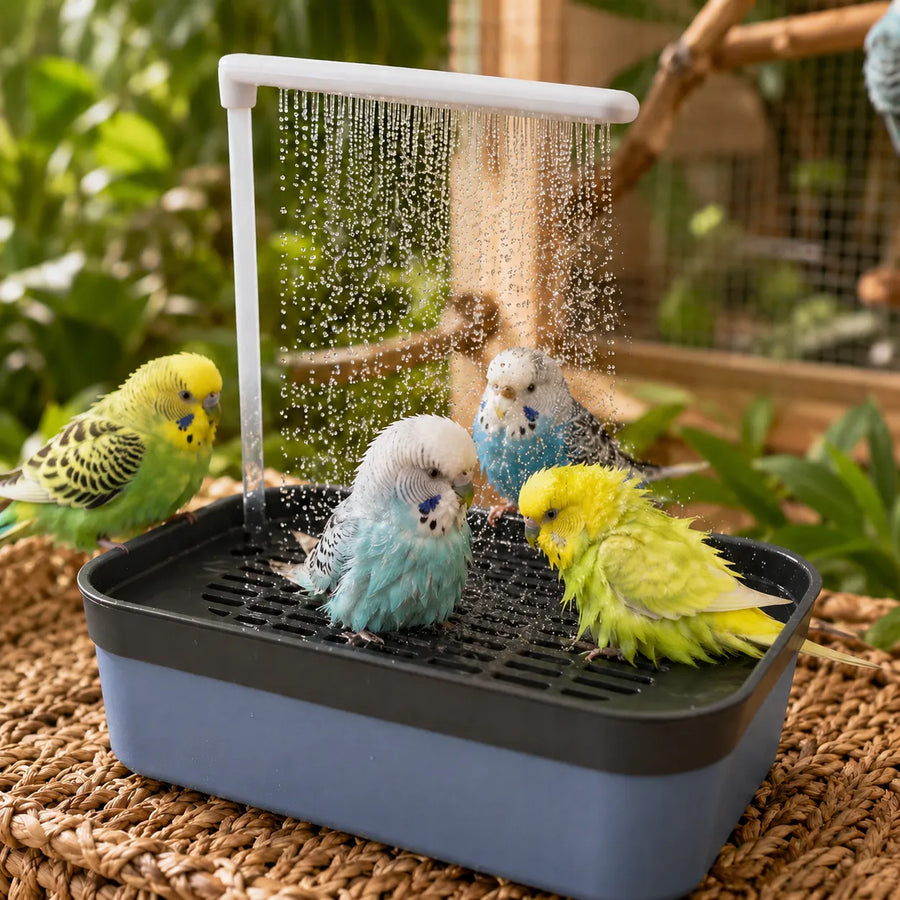 Pluvia – Electric Bird Bath with Rain Shower and Soaking Bowl