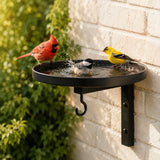 Wrenna – Wall Mounted Bird Bath with Feeder Hook