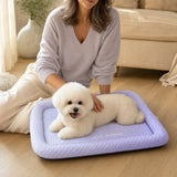 Puralo – Ice silk-like cooling pet bed with raised edges for dogs and cats