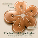 Bloomara – Pure Copper Bird Bath Purifier Disc, Algae Control Flower