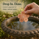 Bloomara – Pure Copper Bird Bath Purifier Disc, Algae Control Flower