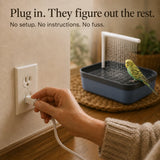 Pluvia – Electric Bird Bath with Rain Shower and Soaking Bowl