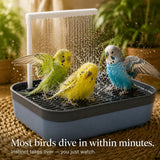 Pluvia – Electric Bird Bath with Rain Shower and Soaking Bowl