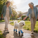 Trakton – Dog Boots That Actually Stay On