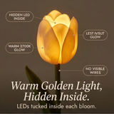 Tulara - LED Tulip Bouquet Light