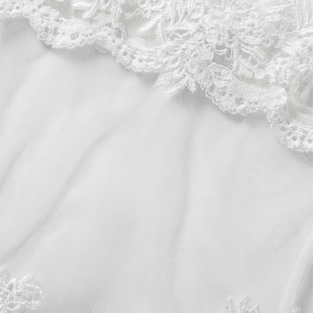 Veluria – Embroidered Lace Sheer Slip Dress