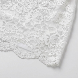 Veluria – Embroidered Lace Sheer Slip Dress