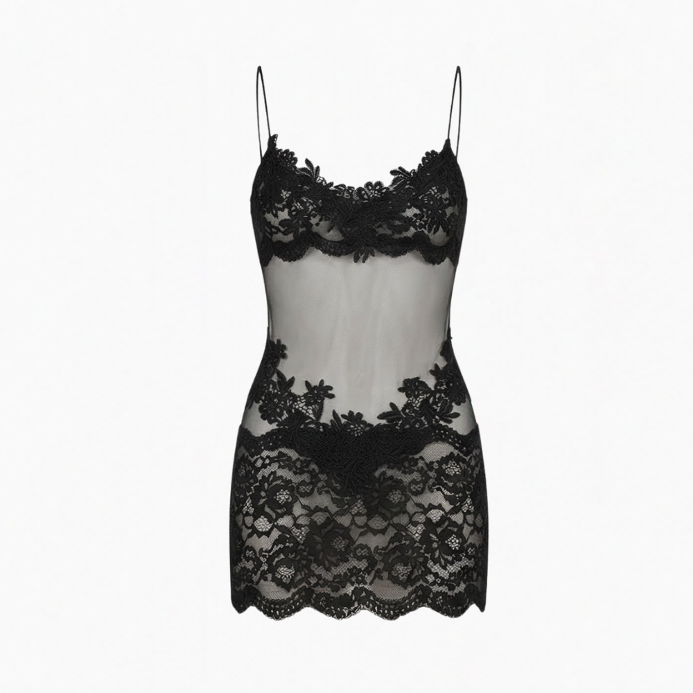 Veluria – Embroidered Lace Sheer Slip Dress