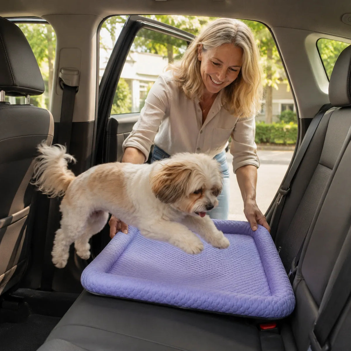 Puralo – Ice silk-like cooling pet bed with raised edges for dogs and cats