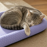 Puralo – Ice silk-like cooling pet bed with raised edges for dogs and cats