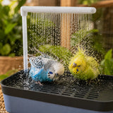 Pluvia – Electric Bird Bath with Rain Shower and Soaking Bowl