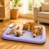 Frostpaw – Cooling Pet Mat for Dogs and Cats