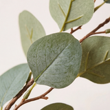 Lumivine – Lighted Olive Vine for Cozy Evenings