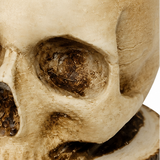 Osseo – Skull Knife Holder That Turns Storage Into Display
