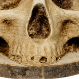 Osseo – Skull Knife Holder That Turns Storage Into Display
