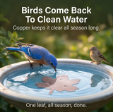 Coppera – Copper Leaf Bird Bath Purifier