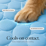 Coolabee – Cooling Mat for Dogs & Cats, No-Freeze Washable Pet Pad