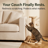 Purrch 3-in-1 Cat Scratching Post with Ball Track and Feather Wand