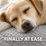 Pawloom – Cooling Pet Bed with 3D Breathable Surface, No Electricity Needed