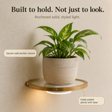 Lumeva - Floating LED Wall Shelf with Gold Finish, Rechargeable Ambient Light for Plants
