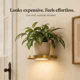 Lumeva - Floating LED Wall Shelf with Gold Finish, Rechargeable Ambient Light for Plants