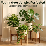 Growvia – Stackable Twig Shaped Plant Support Stakes