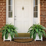Fernly – Realistic Artificial Boston Fern