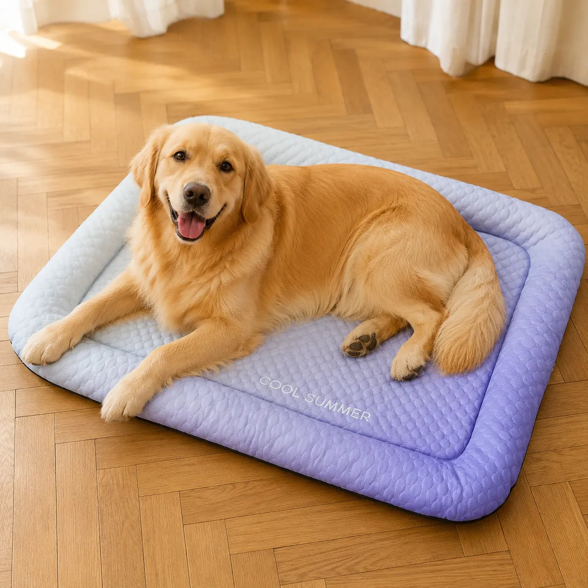 PawChill – Cooling Mat for Dogs with Pillow Edge and Non-Slip Base