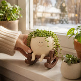 Pippin – Smiley Face Planter Pot with Rocking Chair, Swing & Hammock Designs