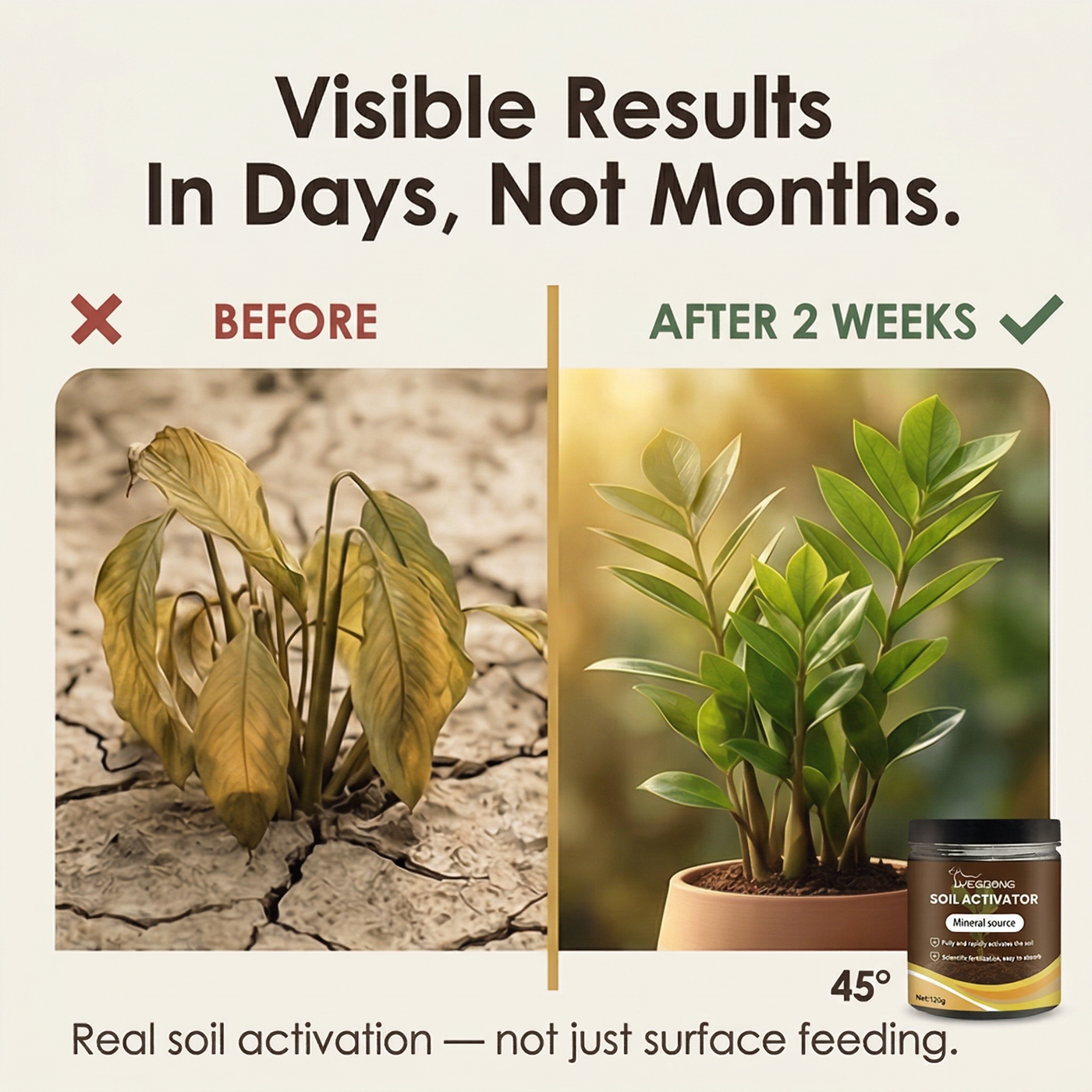Rootvive – Mineral Source Soil Activator for Healthier Plants