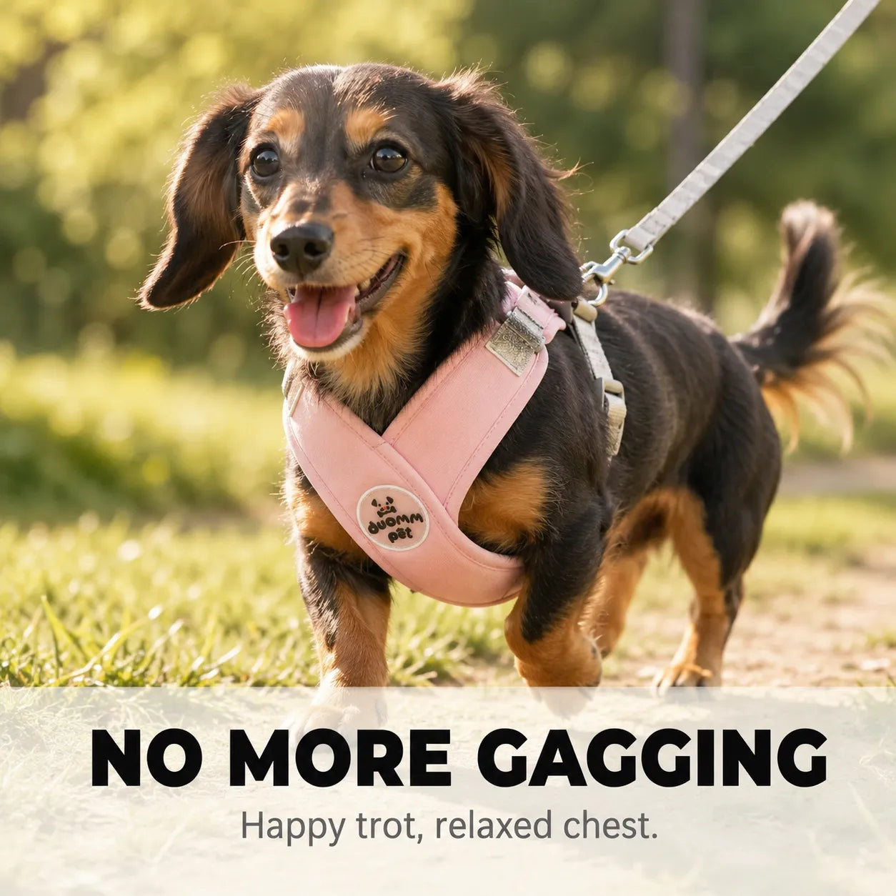 Pawlyn – X Frame No Pull Dog Harness and Leash Set for Small Breeds