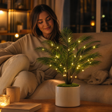 Palmora – Areca Palm LED Lamp with Pot