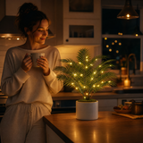 Palmora – Areca Palm LED Lamp with Pot