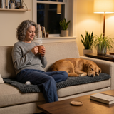 Pawlora – Plush Non Slip Couch Protector for Pets