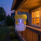 Waspora – Solar Wasp Trap with LED (2-Pack)