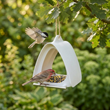 Finchwell – Modern Hanging Bird Feeder