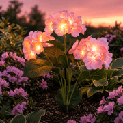 Rose Pink