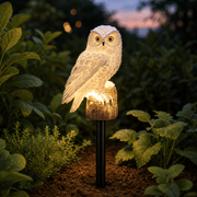 Snowy White Owl