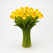 Yellow light