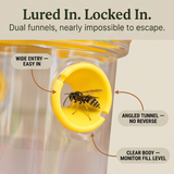 Waspora – Solar Wasp Trap with LED (2-Pack)