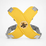 Pawlyn – X Frame No Pull Dog Harness and Leash Set for Small Breeds