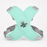 Pawlyn – X Frame No Pull Dog Harness and Leash Set for Small Breeds