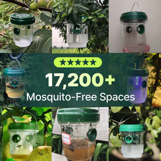 BiteShield traps used by customers in mosquito-free spaces